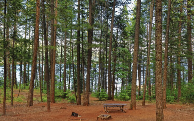 Tannery Campground