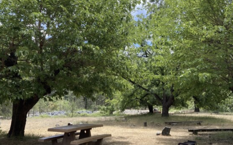 Ackerman Campground